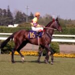 イケメンの馬、美人の馬おすすめ教えて