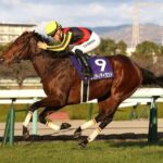 イクイノックス基地「リバティアイランドはエリザベス女王杯いけ!3歳は菊花賞だ!!!」