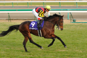 好きな神戸新聞杯 Part2