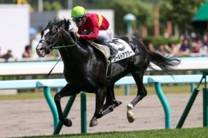 歴代で好きな有馬記念