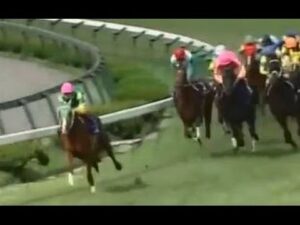 逃げ先行馬→スピードある俊足、差し追い込み馬→スピードない鈍足