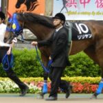 調教師「お前のデビュー戦が決まったぞ!」馬「本当ですか?!」調教師「福島ダート1150mだ!」馬「」