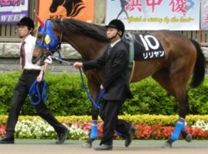 調教師「お前のデビュー戦が決まったぞ！」馬「本当ですか？！」調教師「福島ダート1150mだ！」馬「」