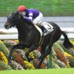 好きなGI未勝利馬