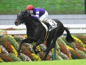 好きなGI未勝利馬