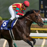 古馬になってから大成した馬って厩舎とかの育成力が凄いだけだろ?そんな馬種馬にしてどうすんの??