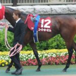 好きなGI未勝利馬 Part2