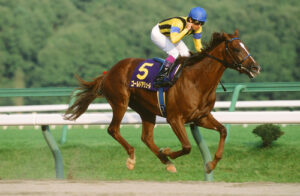 好きなダート馬