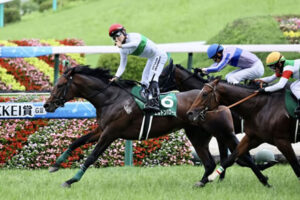 【ラジオNIKKEI賞】3番人気エルトンバローズが直線押し切ってV!重賞初制覇