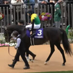 タイトルホルダーって種牡馬として成功出来るの?