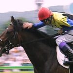 【競馬】スルーセブンシーズ、凱旋門賞挑戦に前向きも帯同馬なし&直行wwwwwwwww