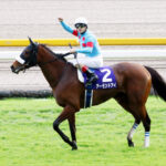 真面目な話、アーモンドアイって歴代牝馬の中で何位ぐらいだと思う?