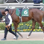 【競馬予想】第28回プロキオンステークス(GⅢ) /2023