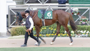 【競馬予想】第28回プロキオンステークス(GⅢ) /2023