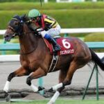 史上最強牝馬論争、二頭に絞られてしまう
