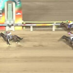 【JDD】大井のミックファイアが完勝!22年ぶり無敗、南関クラシック3冠達成