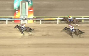 【JDD】大井のミックファイアが完勝！22年ぶり無敗、南関クラシック3冠達成