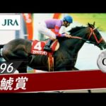 1996年 金鯱賞(GⅡ) | フジヤマケンザン | JRA公式