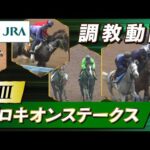 【調教動画】2023年 プロキオンステークス|JRA公式