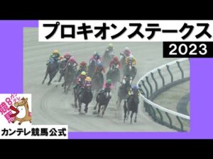 2023年 プロキオンステークス (GⅢ) 【カンテレ公式】