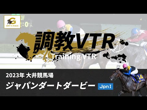 調教VTR｜2023年 ジャパンダートダービー JpnI｜NAR公式