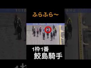 白色帽子の鮫島騎手が隣の馬に接触してしまいます #競馬 #horseracing #オークス #ウマ娘 #ルメール