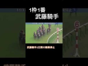 武藤雅騎手　後続馬を気にせず外に進路をとって落馬させてしまう #競馬 #horseracing #オークス #ウマ娘 #ルメール #友道厩舎 #国枝厩舎 #検証動画 #競馬予想 #騎手 #落馬事故