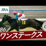 1986年 スワンステークス(GⅡ) | ニッポーテイオー | JRA公式