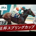1987年 京王杯スプリングカップ(GⅡ) | ニッポーテイオー | JRA公式