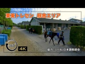 【栗東トレセン】厩舎エリア | JRA公式