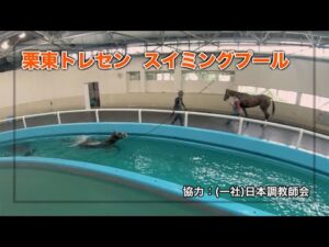 【栗東トレセン】競走馬スイミングプール | JRA公式