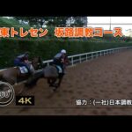 【栗東トレセン】坂路調教コース | JRA公式