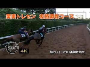【栗東トレセン】坂路調教コース | JRA公式