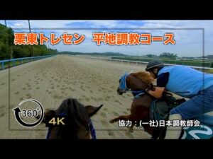 【栗東トレセン】平地調教コース | JRA公式