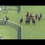 コースを外れて、サクに衝突