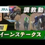 【調教動画】2023年 クイーンステークス|JRA公式