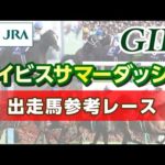 【参考レース】2023年 アイビスサマーダッシュ|JRA公式