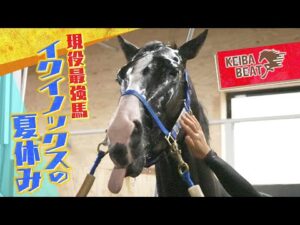 【お宝映像満載】イクイノックスの夏休み ~ノーザンファーム天栄を直撃取材~ <競馬BEAT・特別企画>