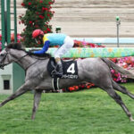 【阿寒湖特別】ナイトインロンドン3連勝で菊花賞へ
