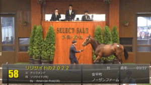 【セレクトセール2023】さぁリリサイド2022だ！