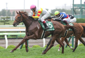 来年の初代ダート三冠馬はゼルトザームで確定！？