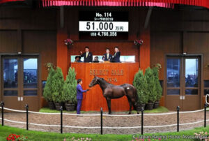 コントレイルがオルフェーヴルレベルで種牡馬失敗する可能性ってあるの？