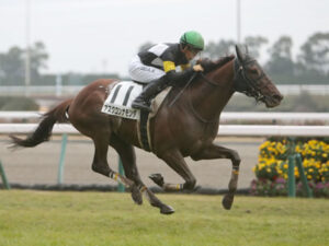 【白川郷S】アスクコンナモンダ強すぎてワロタwww