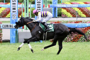 シルバーステート産駒が予想以上に強かった件