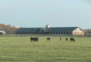 ノーザンファーム今年は過去最多の647頭を生産！最多はエピファネイア産駒