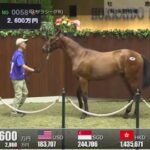 【競馬】セレクションセール2023でソフトバンクの柳田悠岐がアルアイン産駒を2600万円で落札