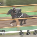 【クイーンステークス2023】追い切り/抜群の動きを見せたのは