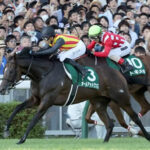 【アイビスSD】オールアットワンス強すぎてワロタwww