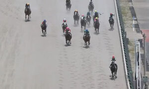 【中京6R】サーマルソアリング2秒2ぶっちぎりでワロタwww