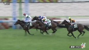 【競馬】ラジオＮＩＫＫＥＩ賞は西村淳騎乗のエルトンバローズがＶ